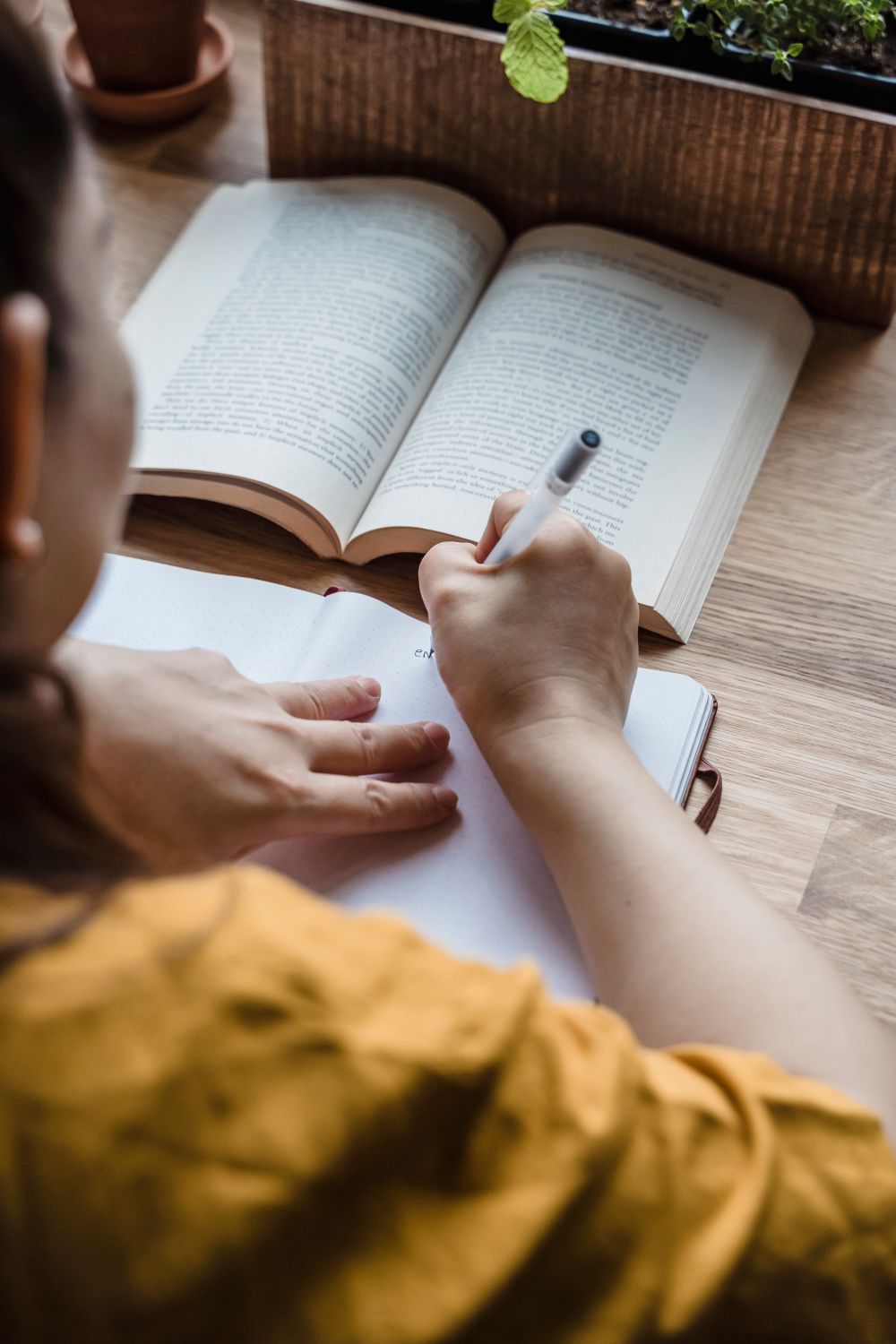 Pessoa registrando informações em um caderno